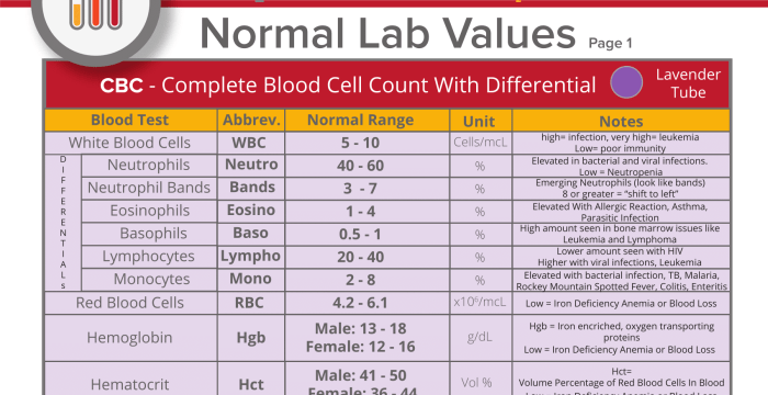 Ati lab values cheat sheet