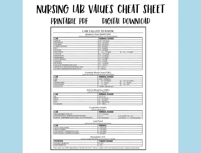 Ati lab values cheat sheet