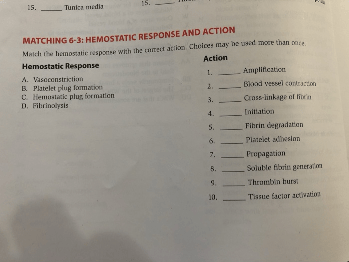 Matching 6-3 hemostatic response and action