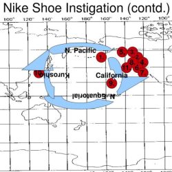 The nike shoe investigation answer key