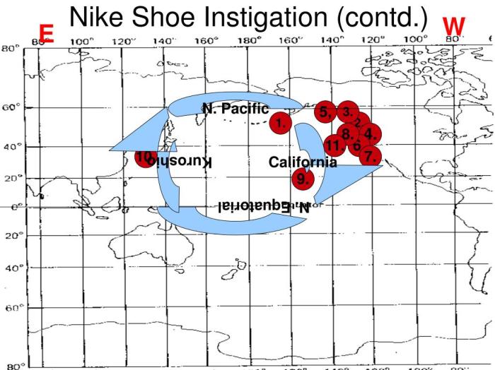 The nike shoe investigation answer key