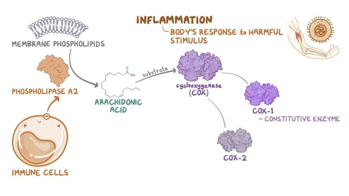 Pharm made easy 4.0 immune system