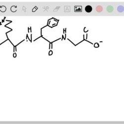 Condensed structural formula for the tripeptide