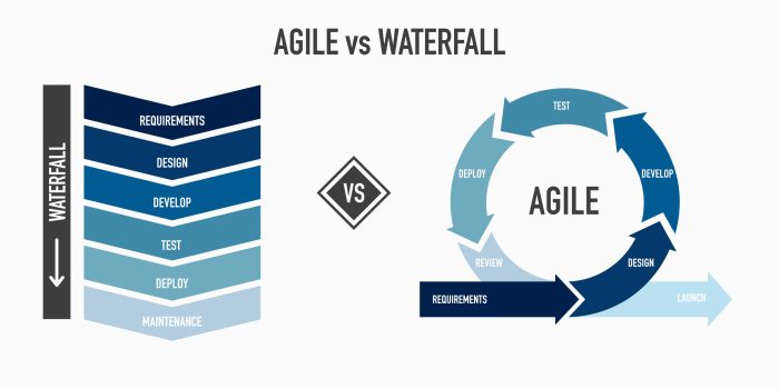 Principle agile principles