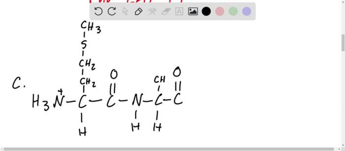 Condensed structural formula for the tripeptide